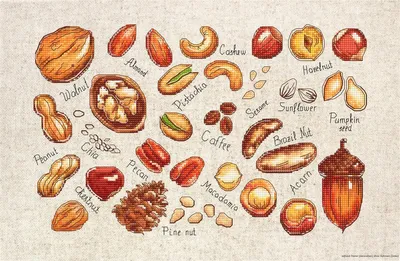 Produktbild von Luca-S "Nüsse und Samen" Kreuzstich-Set, 31,5x20cm