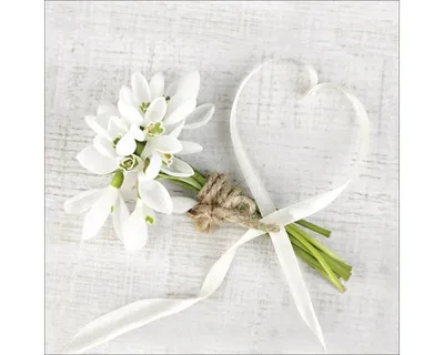 Produktbild von Glasbild White Spring I 50x50 cm