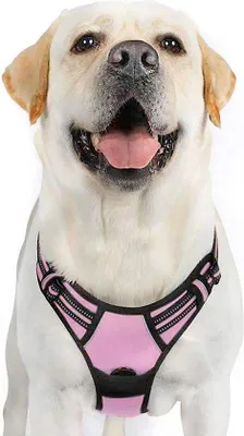 Immagine prodotto di Imbracatura per cani Famanu, antivento, riflettente e traspirante, regolabile e confortevole, adatta a cani di taglia grande, media o piccola, e ai cuccioli