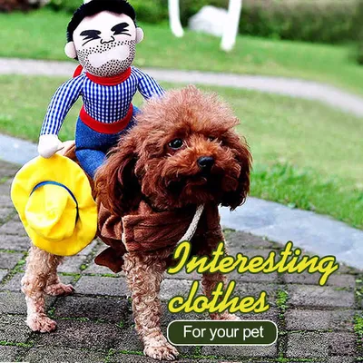Image de Chien chien chiot chat animal de compagnie vêtements cavalier costume cow-boy harnais s'habiller - M