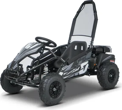 Produktbild von Benzinbetriebener Gokart für Kinder Beneo Motors BUGGY RSX schwarz – 98 cm³