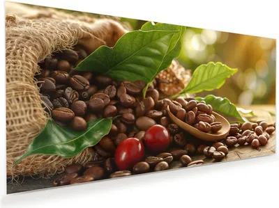 Produktbild von Glasbild 120x60cm in XXL für Wohnzimmer, Schlafzimmer Motiv Kaffeebohnen