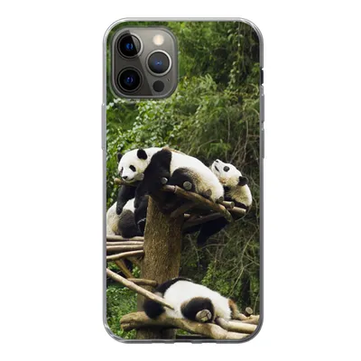 Produktbild von MuchoWow® Handyhülle Schutzhülle Hülle für iPhone 13 Pro Pandas - Holz - Treppe Silikon Softcase Handy Hülle - Handy-Tasche