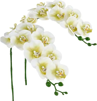 Productafbeelding van Kunstorchidee Stengels - Nep Orchideeën - Decoratie Huis - Real Touch Latex - 96 cm - Groen Wit