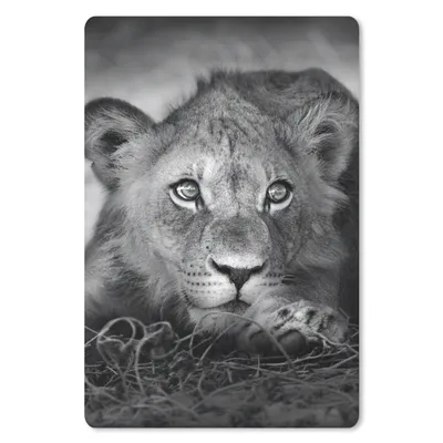 Produktbild von MuchoWow® Mauspad Mousepad Wildtiere - Löwe - Natur - Schwarz - Weiß 18x27 cm - Mousepads - Maus Mat - Pad - Mausunterlage