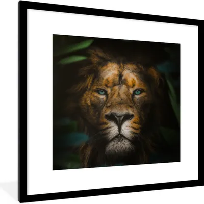 Produktbild von MuchoWow® MuchoWow® Gerahmtes Poster Tiere - Löwe - Wilde Tiere 40x40 cm - Poster mit zchwarzem Bilderrahmen - Poster - Plakat im Rahmen