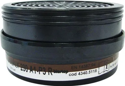 Produktbild von Ekastu Kombifilter 230 A1-P3R f. Polimask 230 (Pck.a2St)