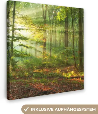 Produktbild von MuchoWow® - Leinwandbilder - Sonne - Wald - Bäume - Natur - Herbst, Wandbild, Wanddeko Bilder Wohnzimmer, 90x90 cm