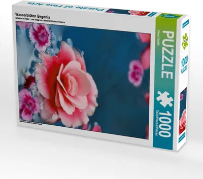 Produktbild von CALVENDO Puzzle Wasserblüten Begonia | 1000 Teile Lege-Größe 64x48cm Foto-Puzzle für glückliche Stunden