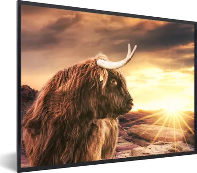 Produktbild von MuchoWow® Gerahmtes Poster Schottischer Hochländer - Sonne - Horizont - Kuh - Tiere 80x60 cm - Poster mit Schwarzem Bilderrahmen Wandposter Rahmen Foto Bilder - Schwarzem - Mit Gestell