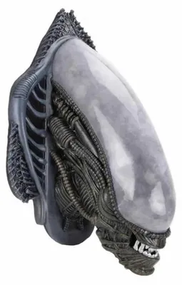 Zdjęcie produktu dla NECA Alien trofeum ścienne Xenomorph (guma piankowa / lateks) 78 cm