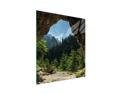 Produktbild von Hygienisches Glas-Schneidebrett mit Baumdekor, 45x52 cm, leicht zu reinigen