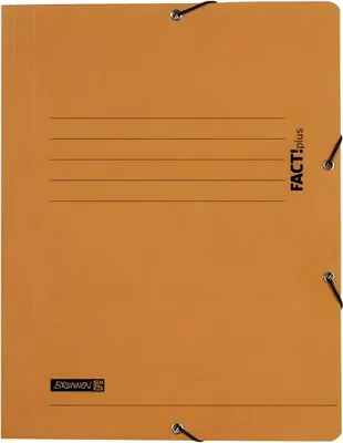 Produktbild von BRUNNEN Sammelmappe A4 FACT! orange Gummizug 102015440