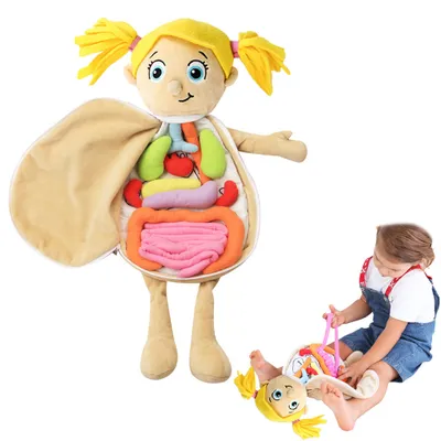 Image de Poupée anatomique avec organes amovibles - Jouet éducatif pour enfants, maternelle et primaire, modèle en peluche douce du corps humain