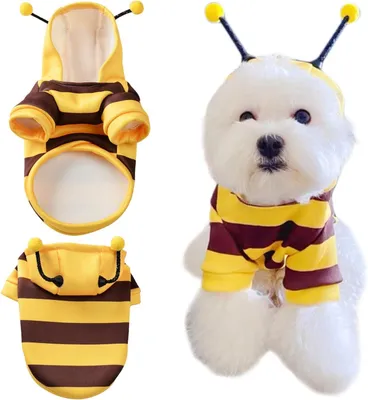 Produktbild von Hundekostüm M, Bienen Stil, Mehrfarbig, für Halloween