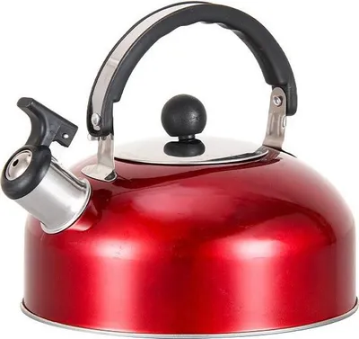 Produktbild von 3-Liter-Wasserkocher aus Edelstahl, flacher Boden, der beim Kochen ein pfeifendes Geräusch erzeugt.