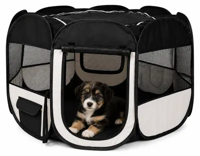 Produktbild von lionto Welpenauslauf mit Pop-up-System, faltbarer Freilaufstall für Hunde & Kleintiere, 110 cm Durchmesser, 64 cm Höhe, schwarz/beige