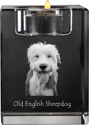 Produktbild von Old English Sheepdog - Kerzenhalter mit Hundefoto, Teelichthalter aus Kristall, personalisiertes Geschenk der Marke Art-Dog