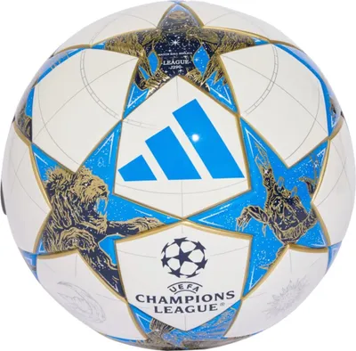 A close-up studio shot of a soccer ball.