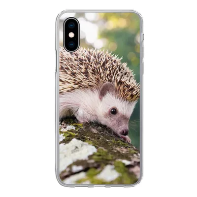 Produktbild von MuchoWow® Handyhülle Schutzhülle Hülle für iPhone X Baby - Igel - Baum Silikon Softcase Handy Hülle - Handyhülle