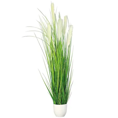 Produktbild von Kunstpflanze Lampenputzergras im weißen Plastiktopf 110cm hoch