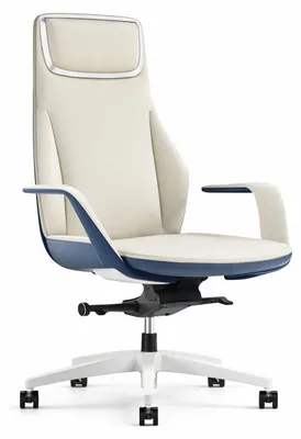 Zdjęcie produktu dla Ergonomiczny fotel kierowniczy z podwyższonym oparciem