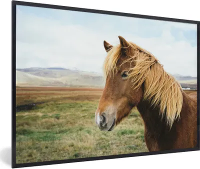 Produktbild von MuchoWow® Gerahmtes Poster Pferd - Natur - Island 90x60 cm - Poster mit Schwarzem Bilderrahmen Wandposter Rahmen Foto Bilder - Fotorahmen - Foto-Plakat