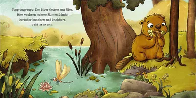 Image de Mein erstes Naturbuch - Der Biber