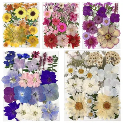 125 getrocknete gepresste Blumen für DIY-Basteln, Set A