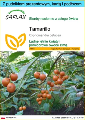Zdjęcie produktu dla SAFLAX - Zestaw prezentowy - Tamarillo - 50 Nasiona - Z pudełkiem upominkowym, etykietą wysyłkową, kartą podarunkową i podłożem uprawowym - Cyphomandra betacea