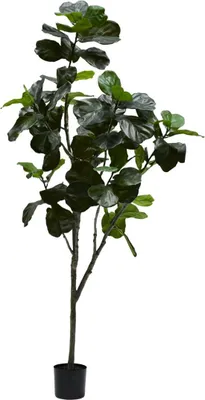 Produktbild von Silk-ka künstliche Zimmerpflanze Ficus Grün 180 cm