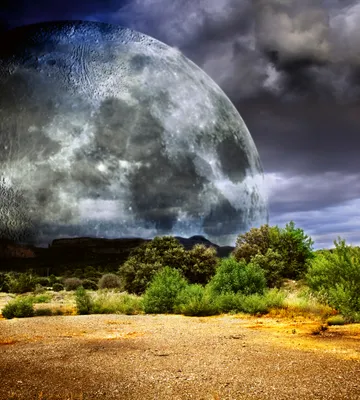 Produktbild von Fototapete - Moon 225x250cm - Vliestapete