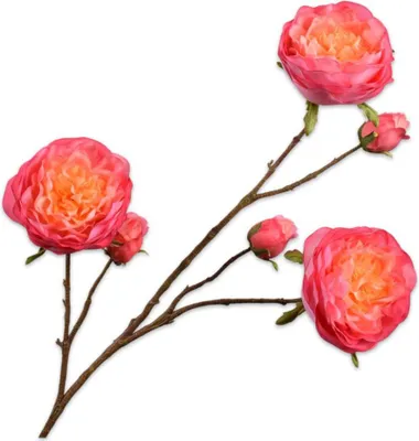 Productafbeelding van Silk-ka Kunstbloem - Zijden bloem, rozenstengel, oranje-roze, 101 cm