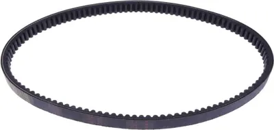 Immagine prodotto di Cinghia trasmissione MITSUBOSHI MBLSC186 18x865 per Honda SH 100 SCOOPY