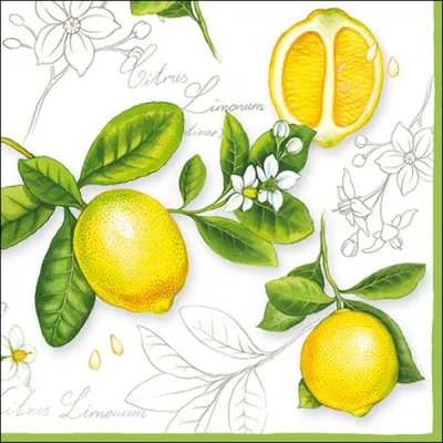 Produktbild von Servietten Papier 33x33cm 3-lagig mit Vintage Zitronen Motiv 20 Stück