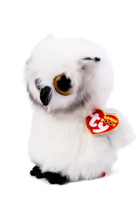 Zdjęcie produktu dla TY Beanie Boo regular 15 cm Austin biała sowa