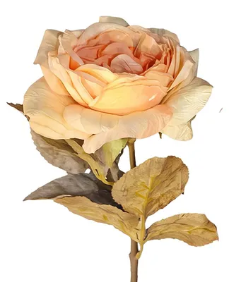 Immagine prodotto di Clayre & Eef, fiore artificiale, colore arancione, materiale: plastica