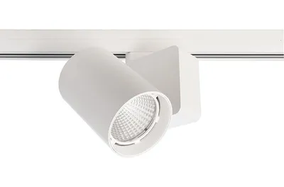 Zdjęcie produktu dla Deko-Light 707042, Halogen montowany do szyny, LED, 34 W, 4000 K, 2860 lm, Biały