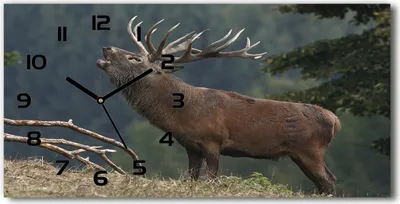 Produktbild von Wanduhr aus Glas – 60x30 cm - Glasbild - Glasuhr - Gehärtetes Glas - schwarze-zeiger - Deer auf dem Hügel