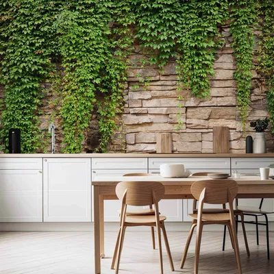 Produktbild von Vlies Fototapete - Ivy wall 100x70 cm Blätter b-A-0173-a-d
