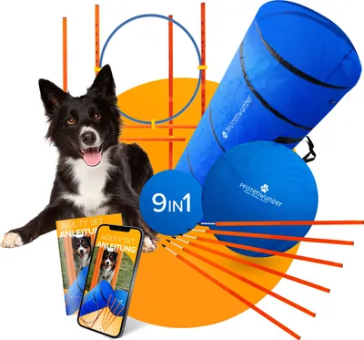 Produktbild von PFOTENWUNDER® 9-in-1 Agility Set Hunde groß + 21 Min. HUNDESCHULE - 6 Slalomstangen, 1 Tunnel, für kleine & große Hunde, Training Sport Parcour Hürden