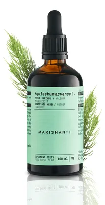 Produktbild von Schachtelhalm Extrakt Kräuter Tropfen alkoholfrei 100 ml