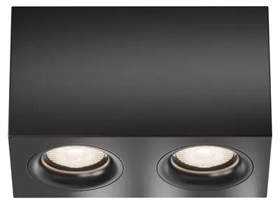 Immagine prodotto di Plafoniera, alluminio, 2 luci, nero, L 20 cm