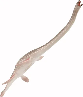 Produktbild von COLLECTA Elasmosaurus - (L)