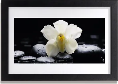 Produktbild von Bild 30x20 MDF-Rahmen Wandkunst Blume Orchidee Pflanze