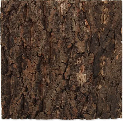 Image de Fond en liège naturel 28,5 x 28 x 2 cm 1 pièce