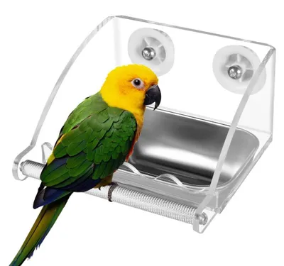 Vogelvoederbak mit Edelstahlnapf und Antirutsch-Sitzstange