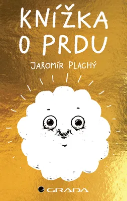 Zdjęcie produktu dla Knížka o prdu | Jaromír Plachý