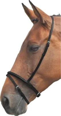 Produktbild von Blenheim - Nasenriemen mit Sperrriemen, Leder ER291 (Pony) (Schwarz)