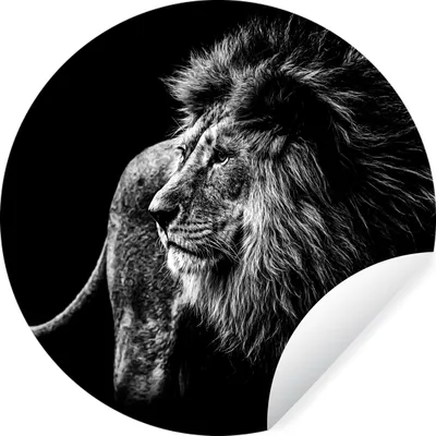 Produktbild von MuchoWow® Runde Wandtattoo - Wandsticker Tapete Aufkleber Tiere - Wild - Löwe - Schwarz - Weiß Ø 100 cm Selbstklebend und Repositionierbar - Wandaufkleber - Kreis - Tapetenkreis - Wandbild rund - Schlafzimmerdekoration - Wanddeko - runde Tapete - Kunst für zu Hause